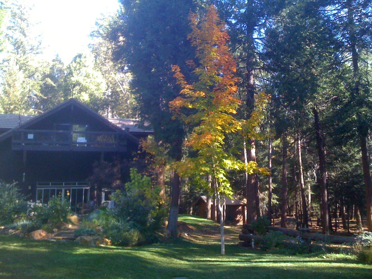 Harmony Ridge Lodge Nevada City Buitenkant foto
