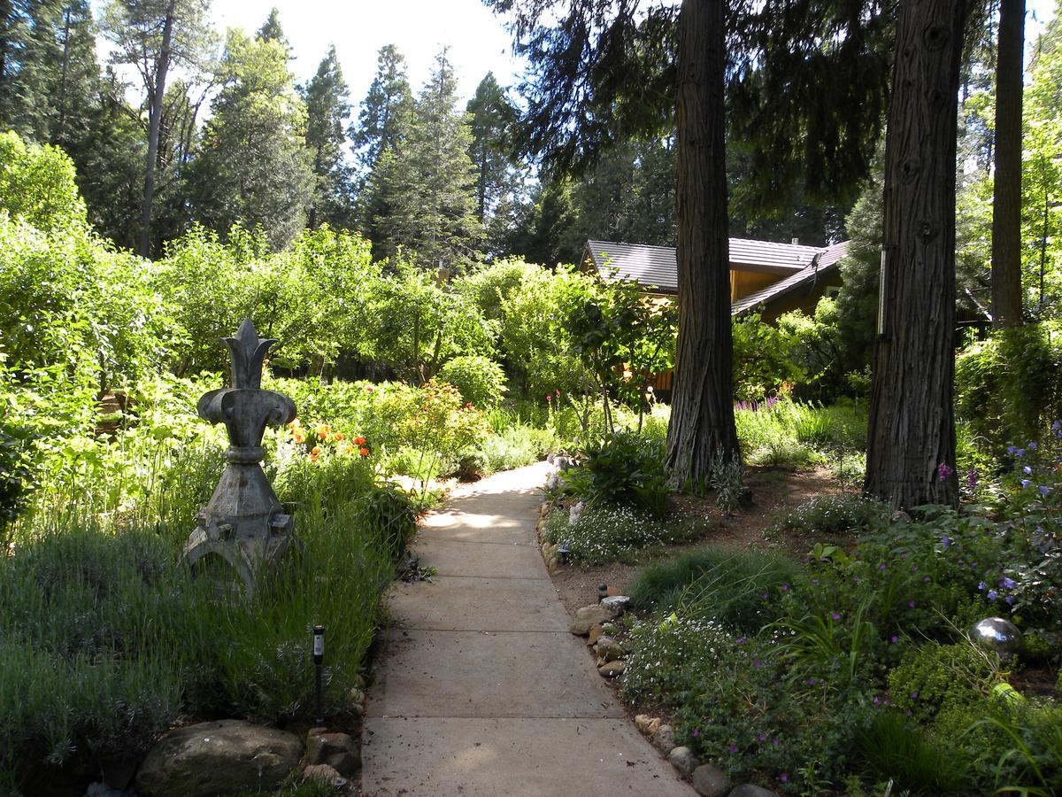 Harmony Ridge Lodge Nevada City Buitenkant foto