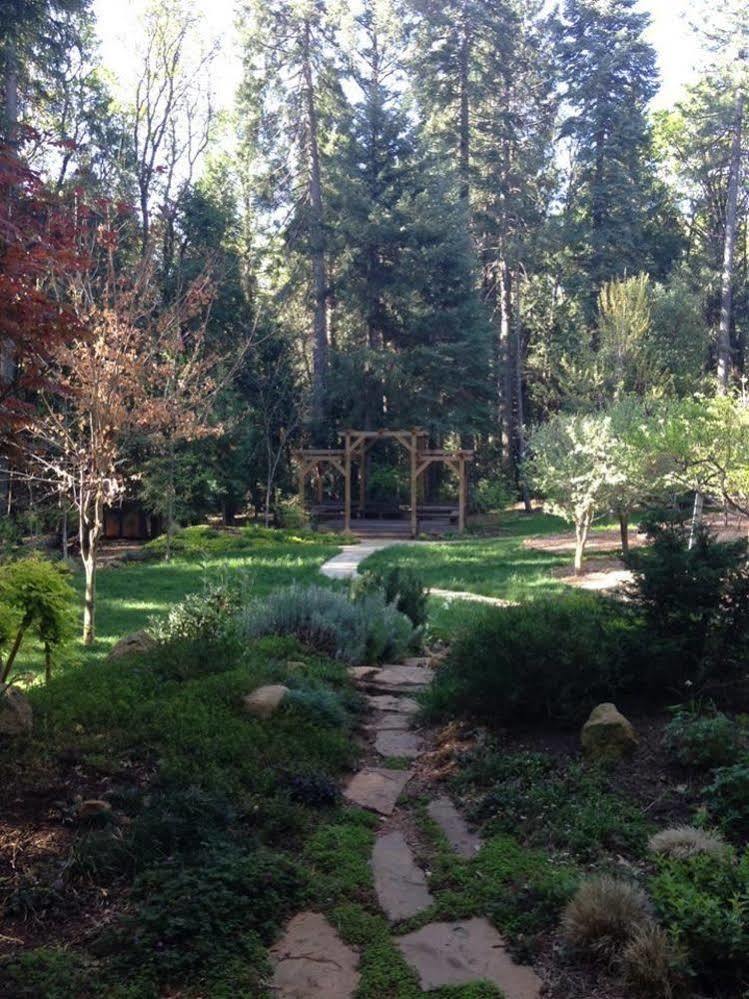 Harmony Ridge Lodge Nevada City Buitenkant foto