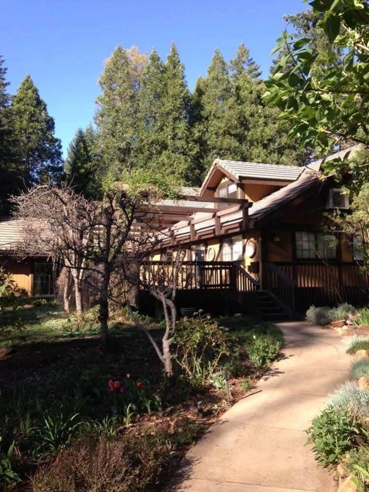 Harmony Ridge Lodge Nevada City Buitenkant foto